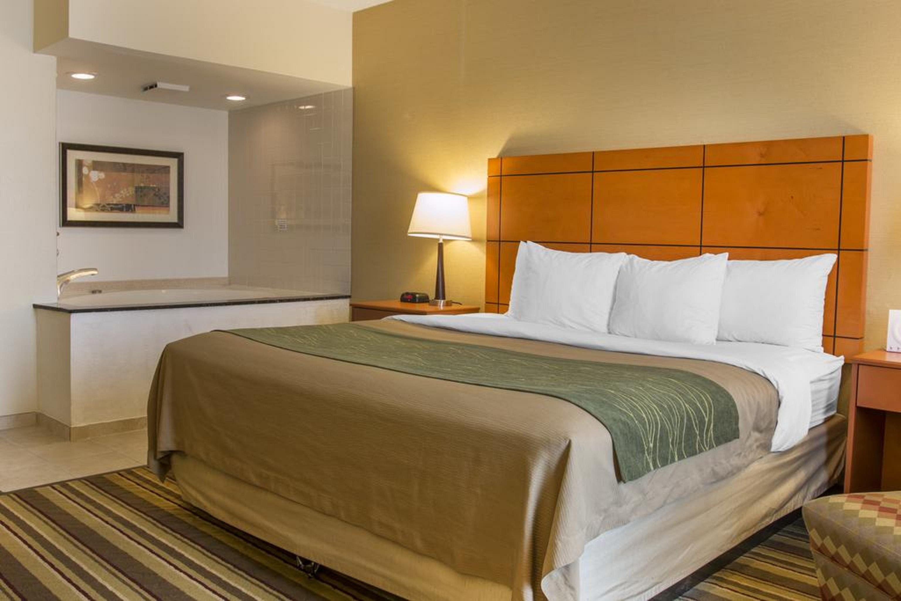 Comfort Inn Metro Airport Romulus Exterior photo
