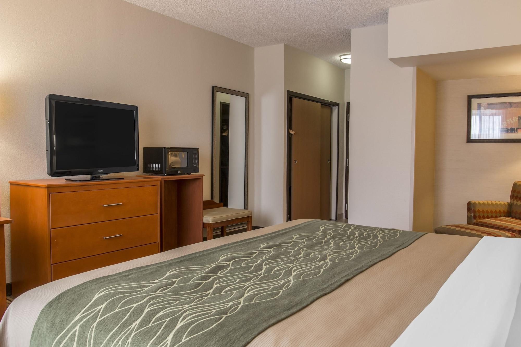 Comfort Inn Metro Airport Romulus Exterior photo