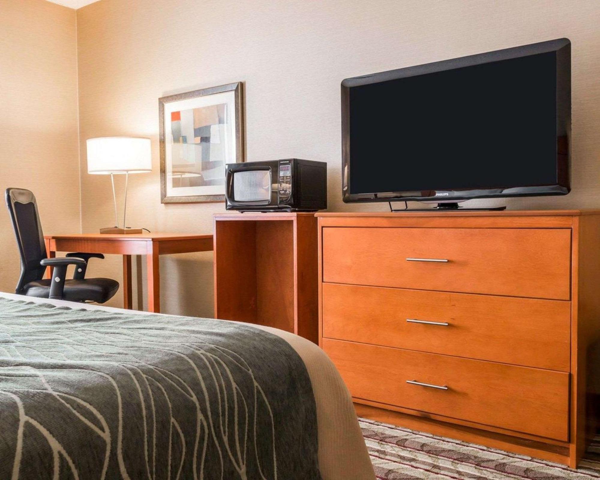 Comfort Inn Metro Airport Romulus Exterior photo