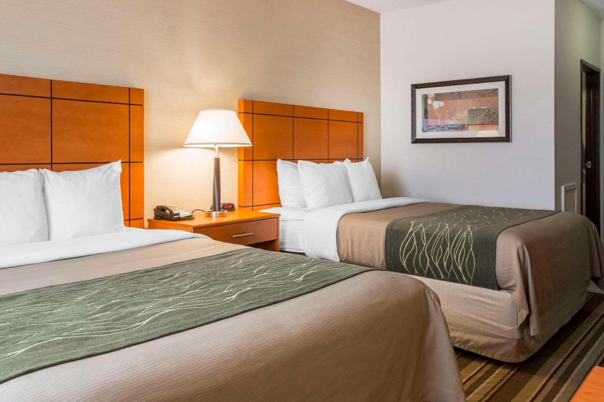 Comfort Inn Metro Airport Romulus Exterior photo